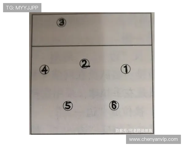 杭州排球队的战术调整与球员表现的深度分析与反思