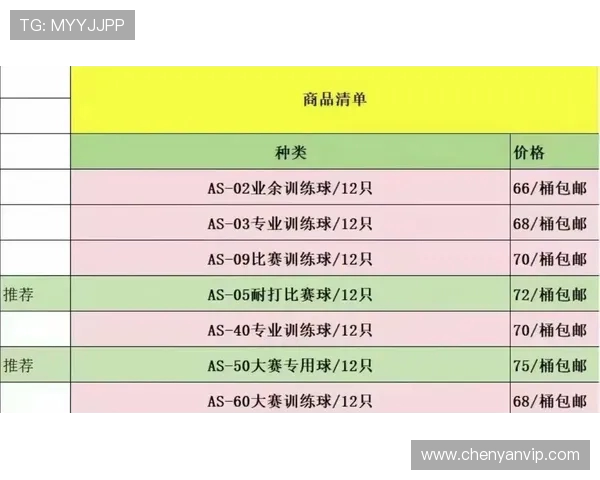 深入分析上海羽毛球队阵地战打法的战术特点与应用策略